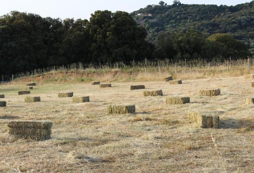 민박 & Restaurant Les Bergeries D'alata