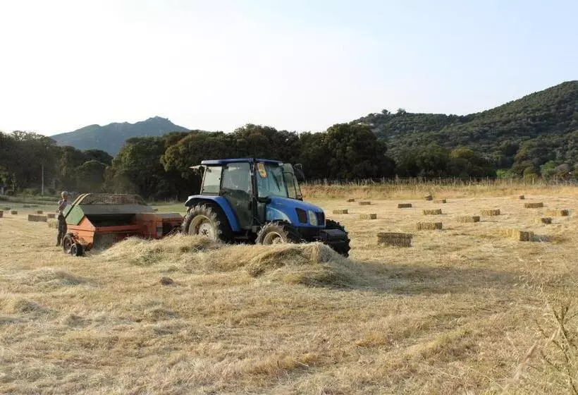 ベッドアンドブレックファースト & Restaurant Les Bergeries D'alata
