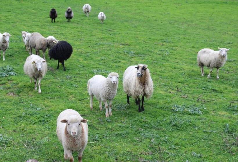 민박 & Restaurant Les Bergeries D'alata