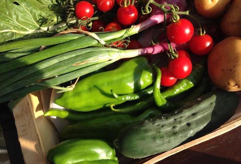 민박 & Restaurant Les Bergeries D'alata