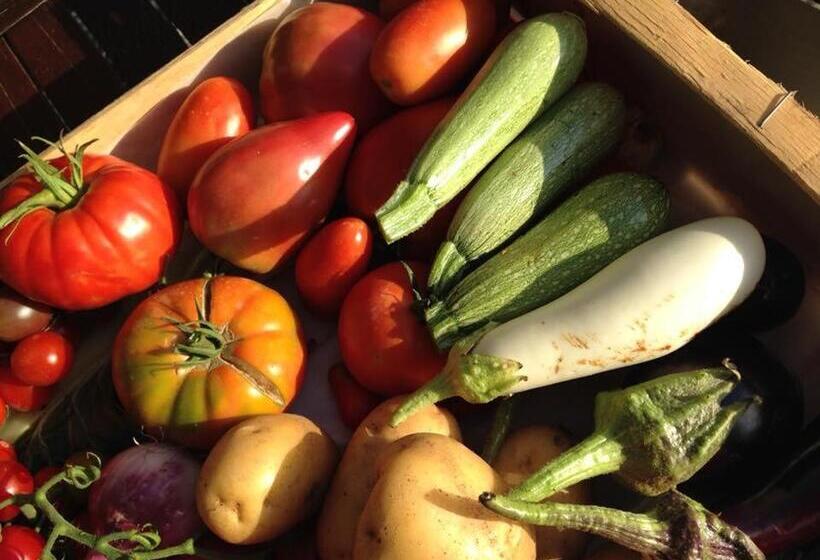 민박 & Restaurant Les Bergeries D'alata