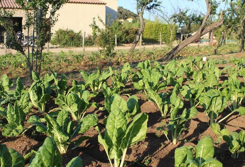 민박 & Restaurant Les Bergeries D'alata