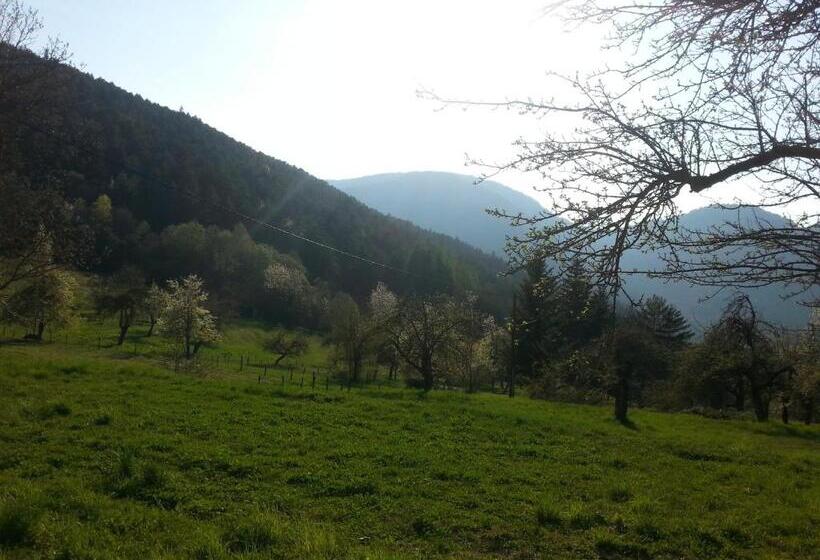 ホテル Auberge Saint Martin