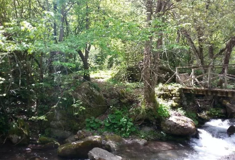 ホテル Auberge Saint Martin