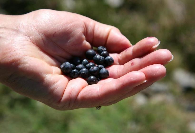 호텔 Hôtel Le Glacier