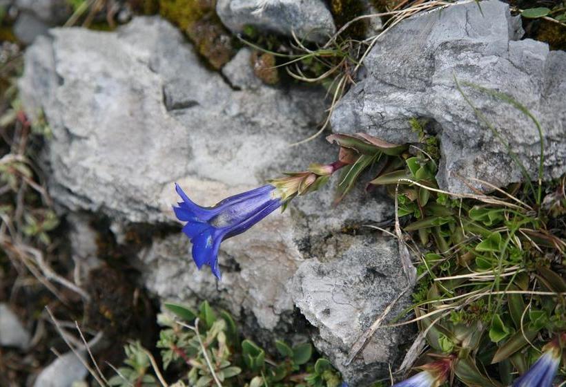 호텔 Hôtel Le Glacier