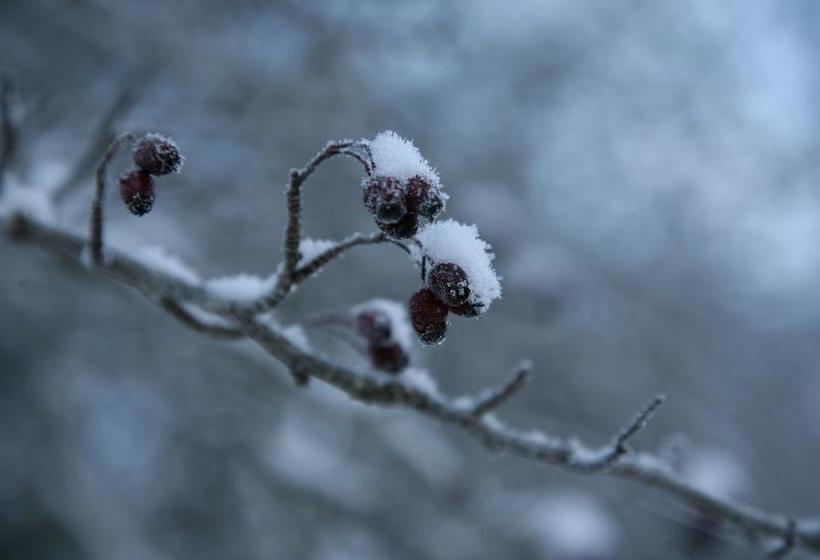 호텔 Hôtel Le Glacier