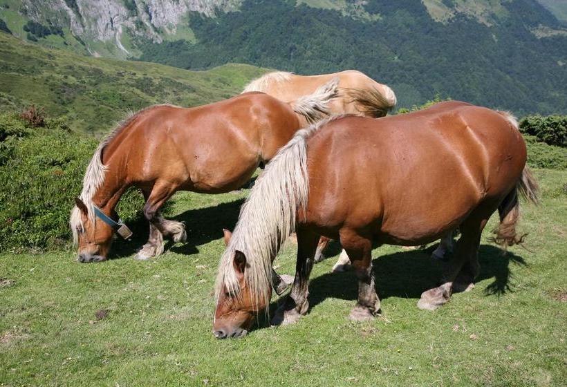 호텔 Hôtel Le Glacier