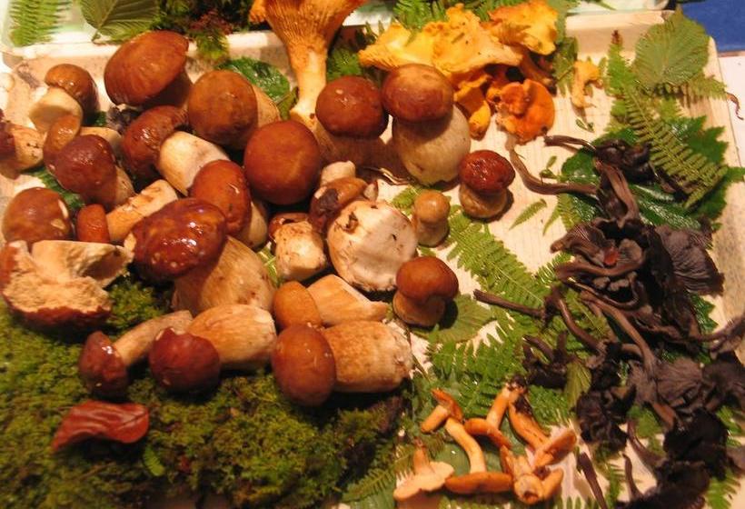 호텔 Hôtel Le Glacier