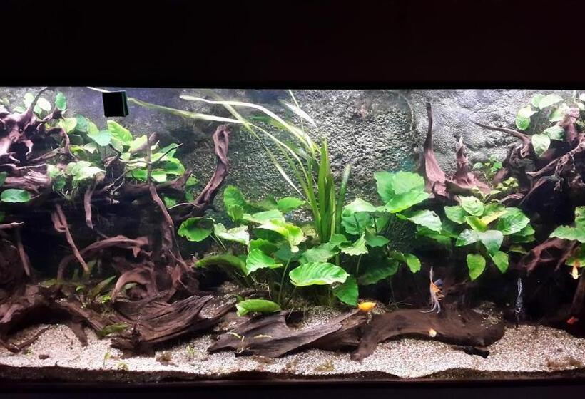 צימר Au Bois De Massier