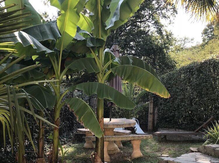 צימר Au Bois De Massier