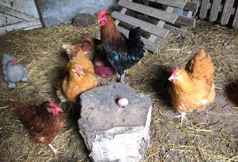 צימר Chambres D Hotes Manoir Kerhuella