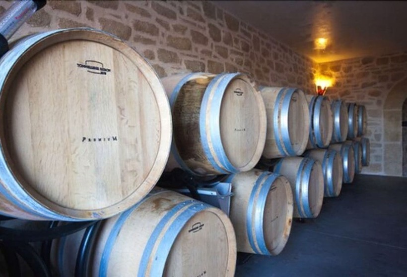 צימר Chateau De Valloubiere