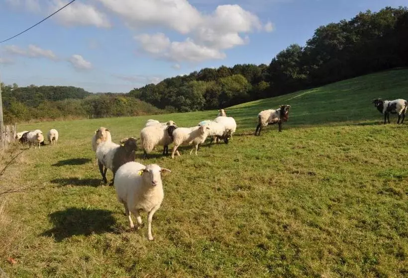 Aamiaismajoitus (B&B) Ferme Elhorga