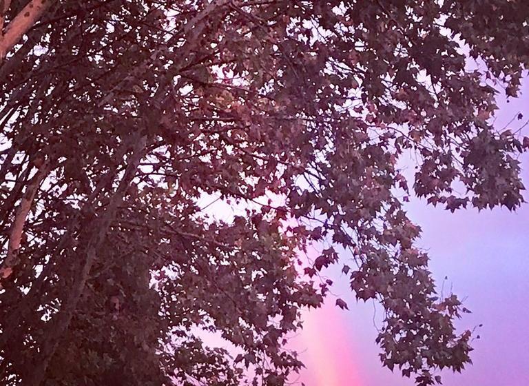 تختخواب و صبحانه L Enclos