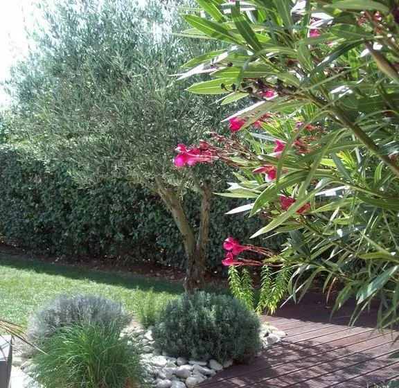 Bed and Breakfast La Rivagerie