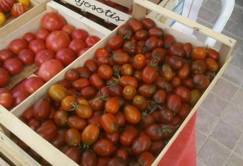 مبيت وإفطار Les Verveines De Vaison