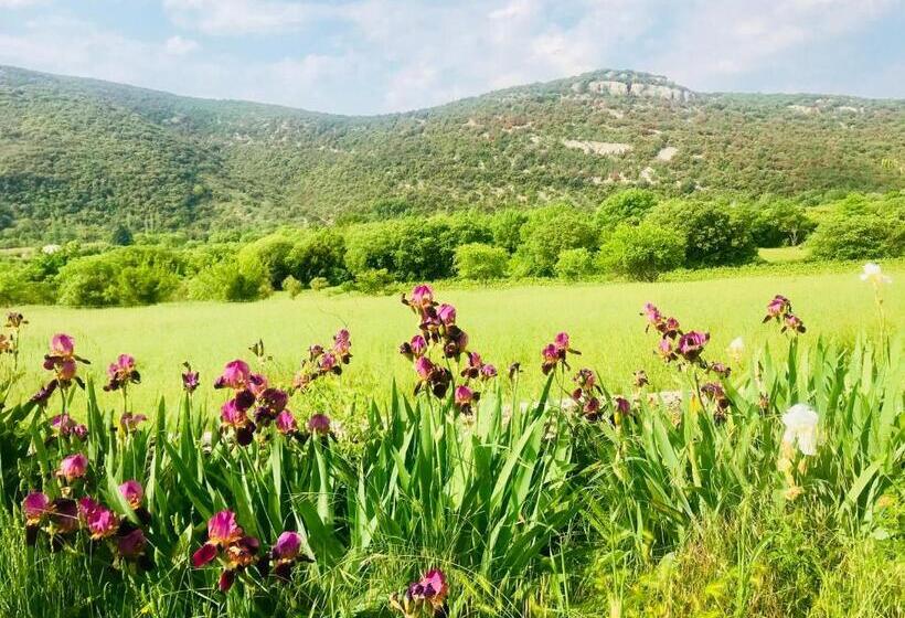 호텔 Domaine Mas Pigné