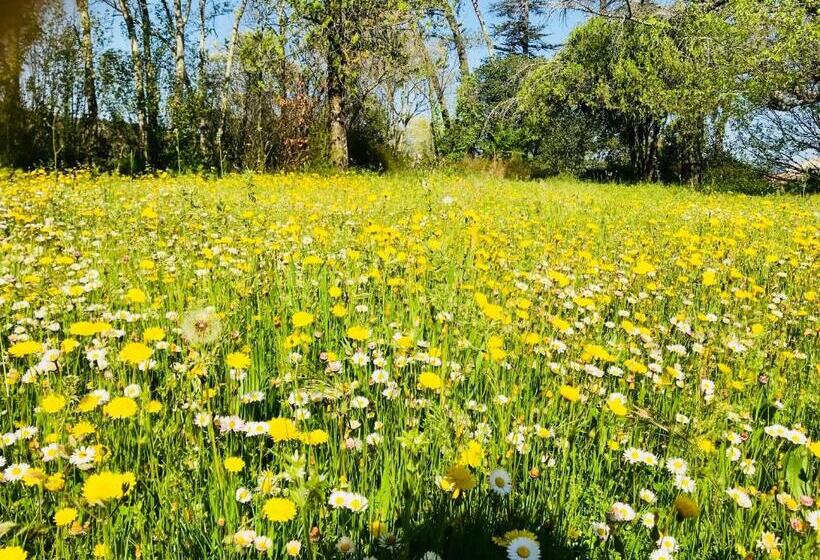 호텔 Domaine Mas Pigné