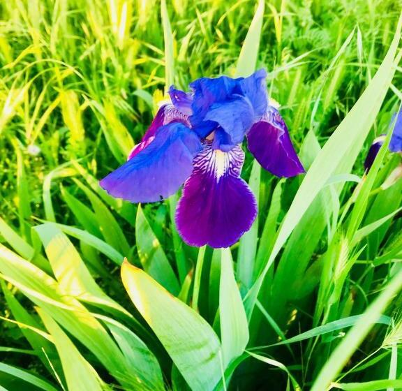 호텔 Domaine Mas Pigné