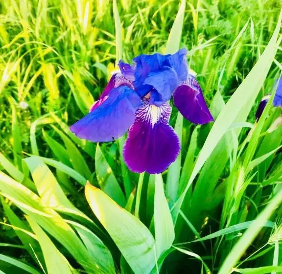 ホテル Domaine Mas Pigné