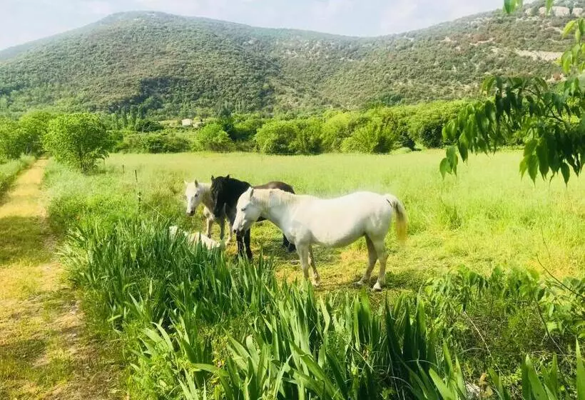 ホテル Domaine Mas Pigné