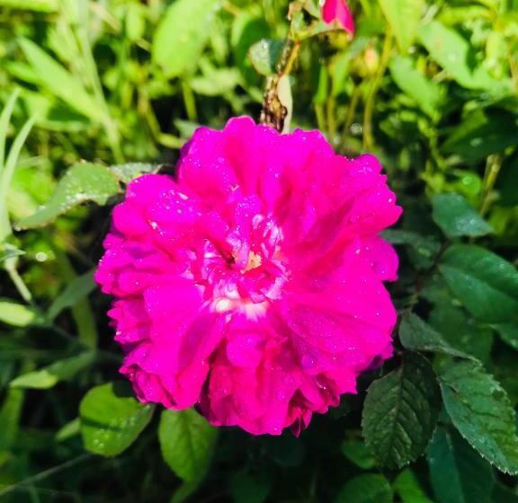 호텔 Domaine Mas Pigné