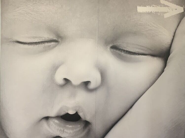 酒店 Ibis Budget Mantes La Jolie Sully