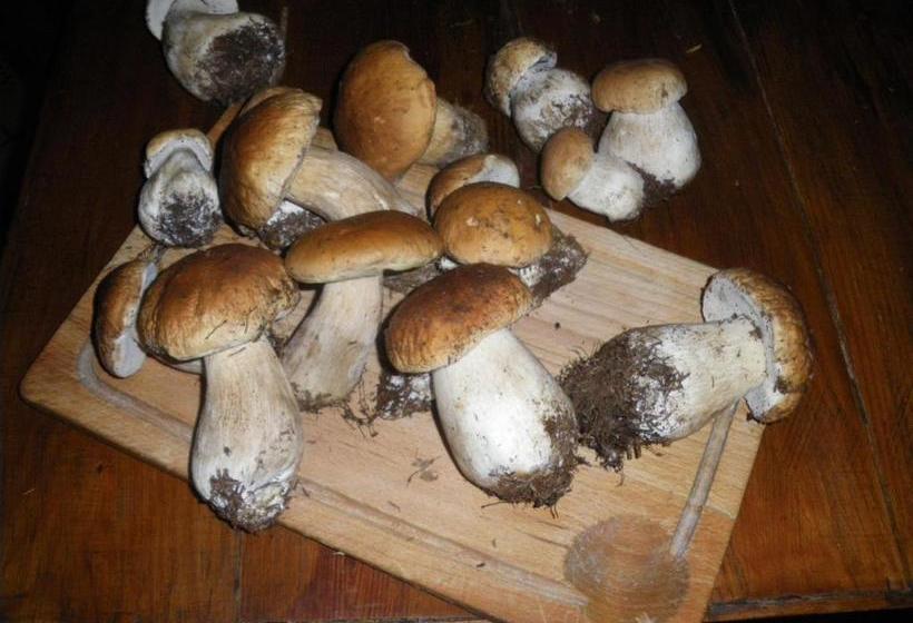 فندق Restaurant Du Lion D Or