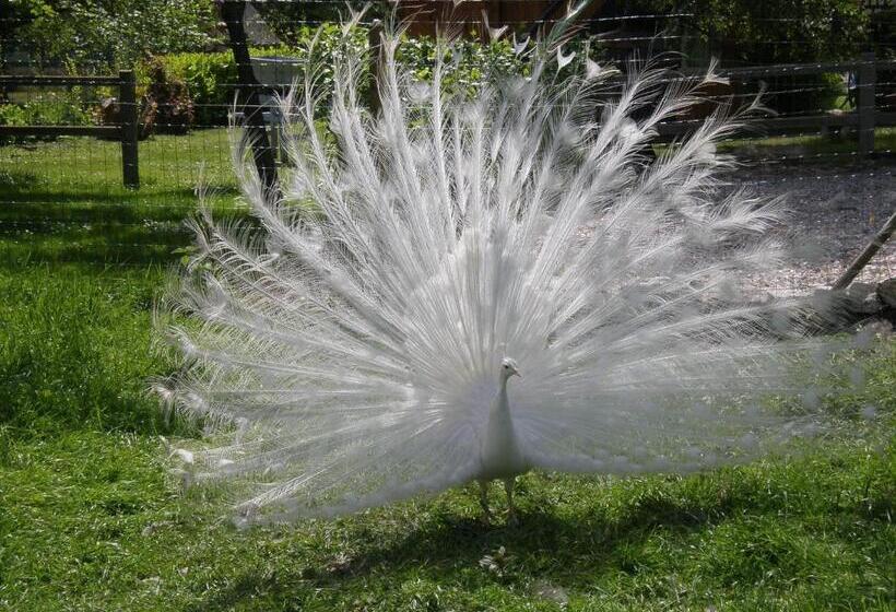 住宿加早餐 Chambre D'hôtes Au Fil De L'eau