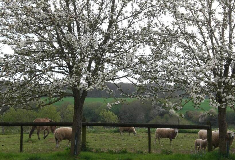 ベッドアンドブレックファースト La Grange De Coatélan