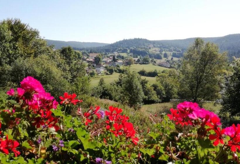 Отель Auberge De Liezey