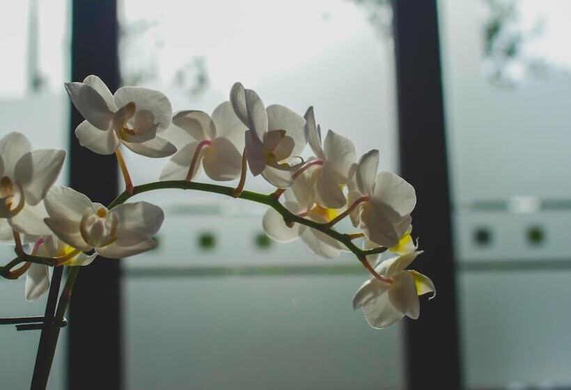 Отель Du Tramway