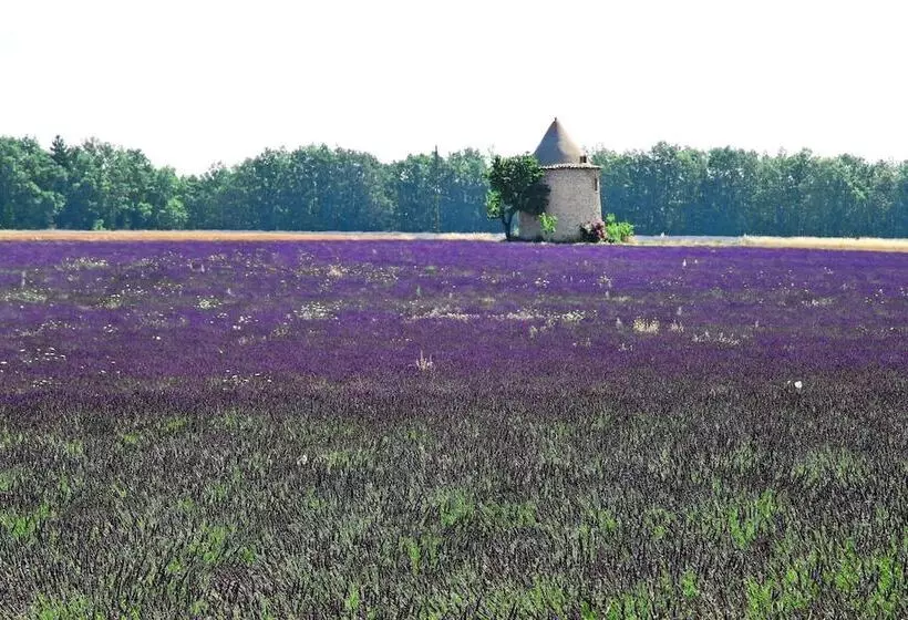 ホテル Hôtel Le Mas Du Loriot