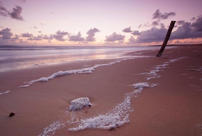 فندق Hôtel Le Vert Bois