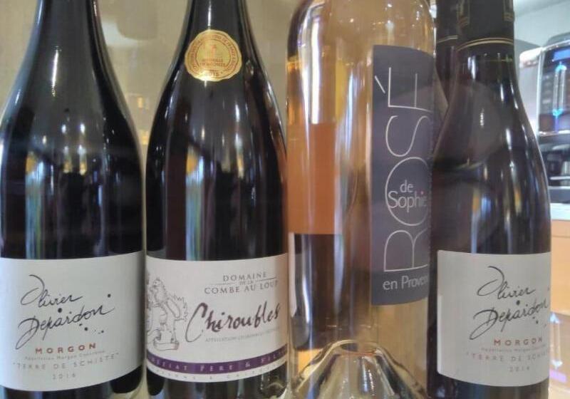 فندق Initial By Balladins Lyon Villefranchesursaone