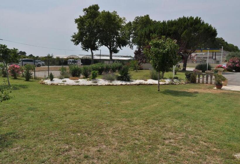 בית מלון כפרי Les Mimosas