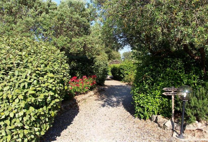 فندق Les Oliviers