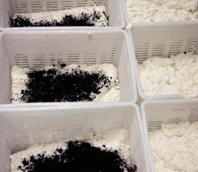 Alpengasthof Hotel Schwand