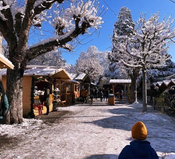 Apartment Hotel Schreier