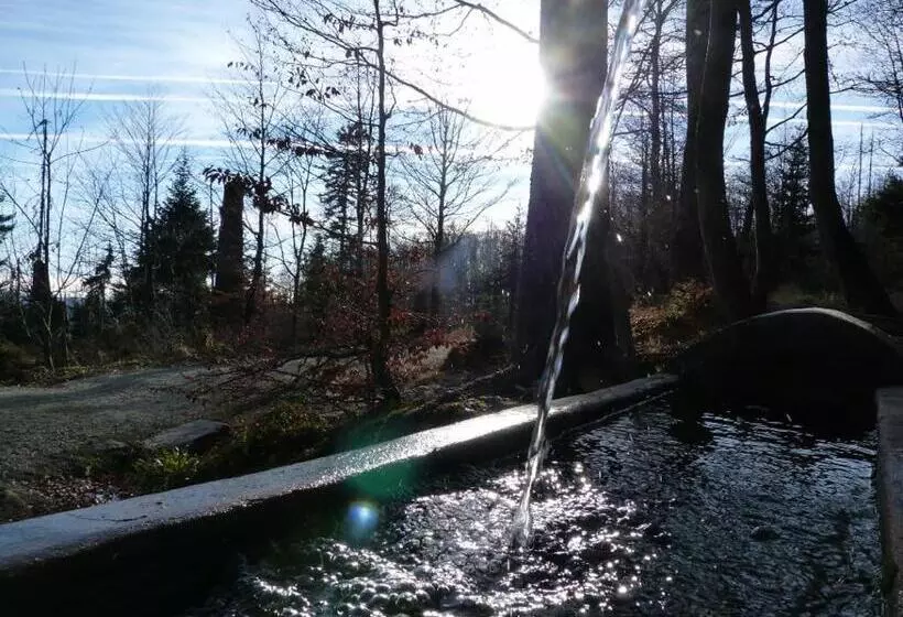 Hotelli Gasthof Zum Bach