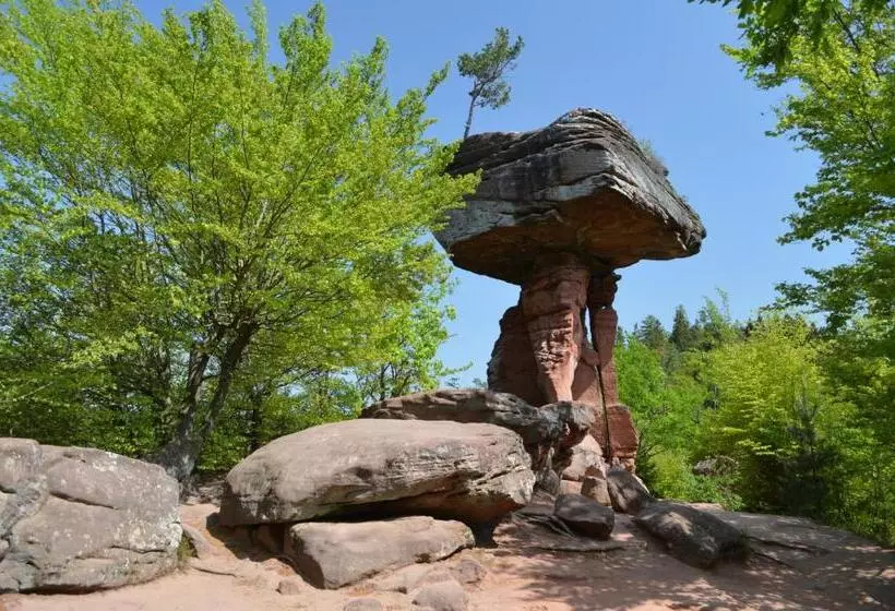 ホテル Hauensteiner Hof