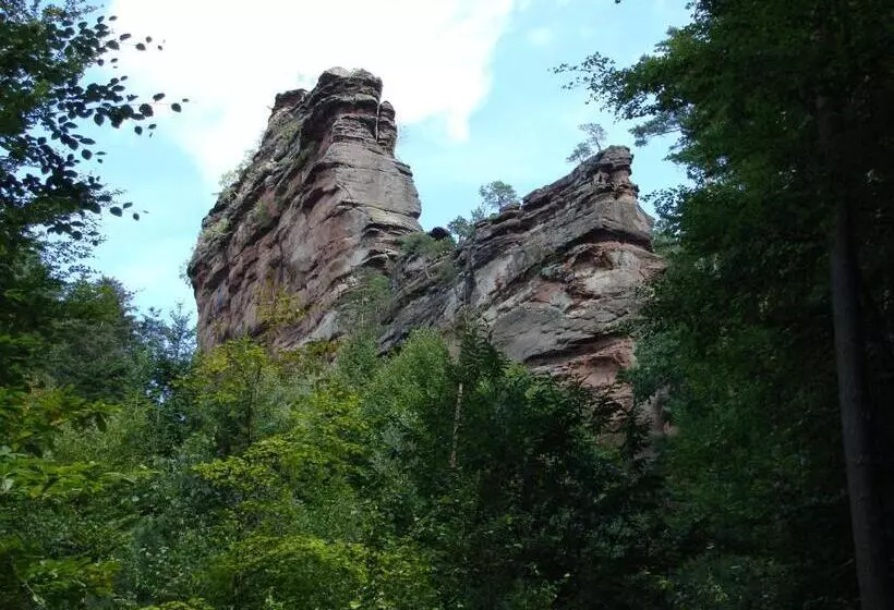 ホテル Hauensteiner Hof