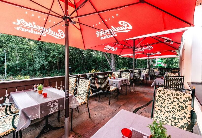 Отель Historische Spitzgrundmuhle