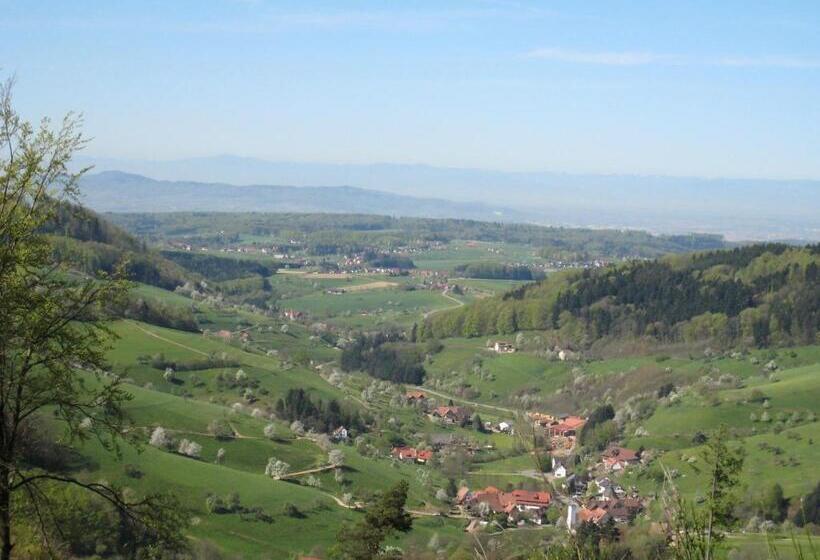 Отель Ludinmühle