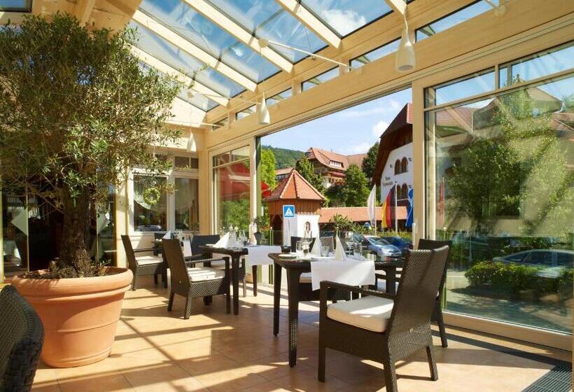 Отель Ludinmühle