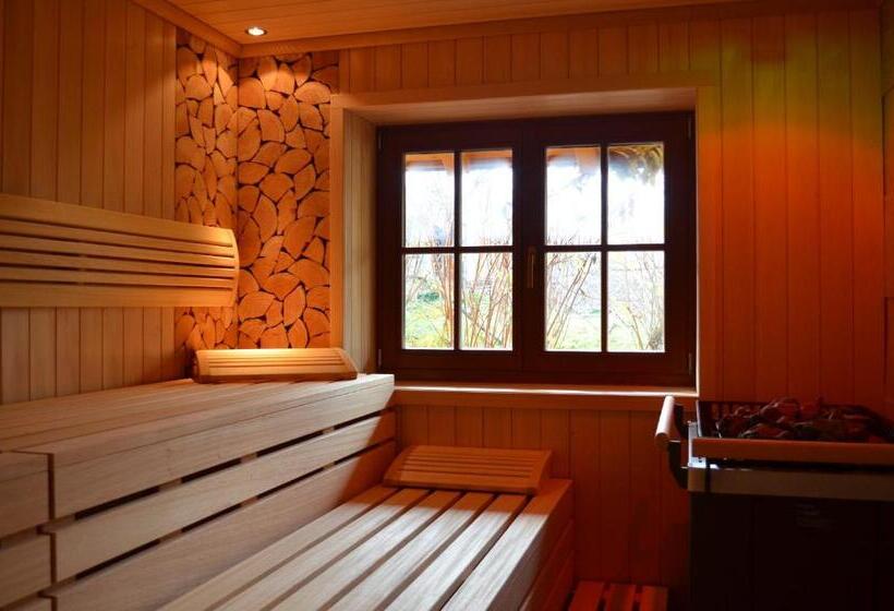 Отель Ludinmühle