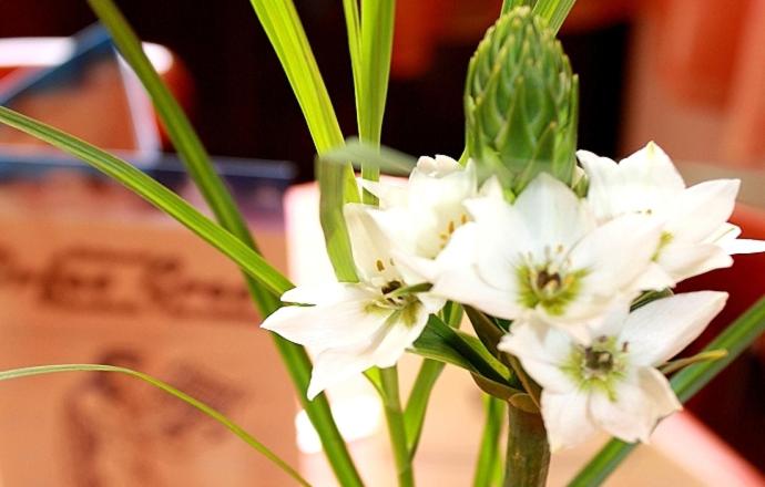 Отель Mira Mare