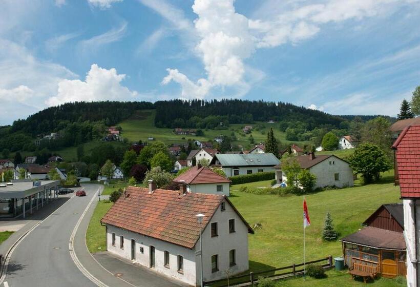 Отель Restaurant Brigitte