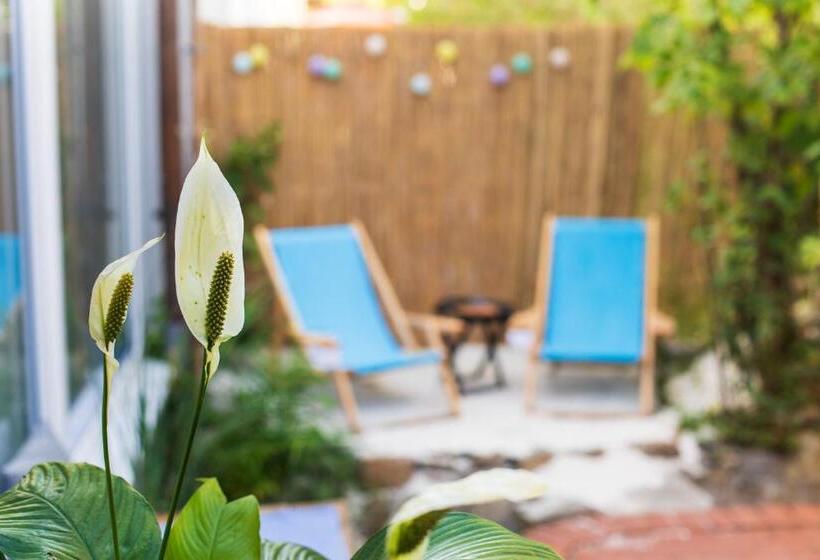 בית מלון כפרי Sova